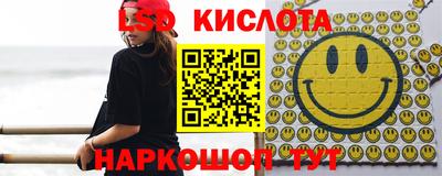 амф Гай