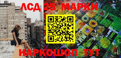 амф Гай