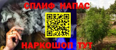 амф Гай