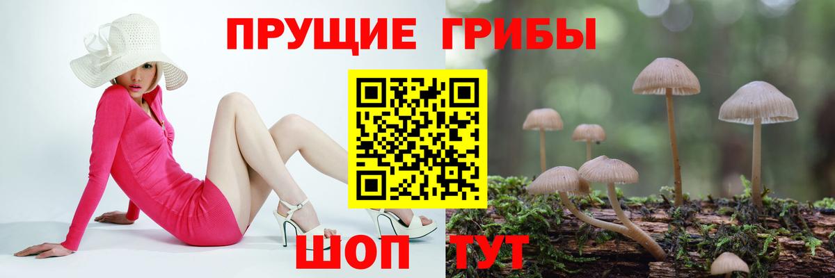 Псилоцибиновые грибы Cubensis  Галлюциногенные грибы ЛСД  Гагарин  Вход с VPN 